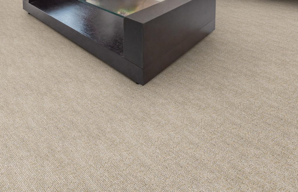 Masland Carpet Raleigh Nc Preferred